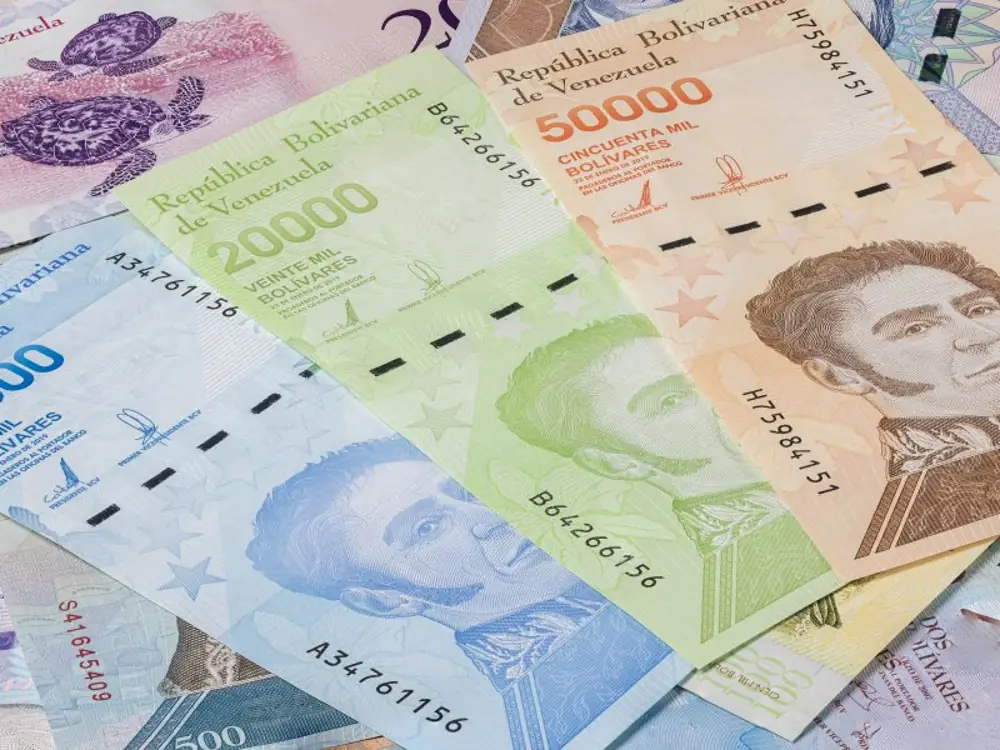 The Rise and Fall of the Venezuelan Bolivar